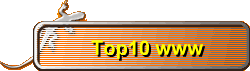 Top10 www
